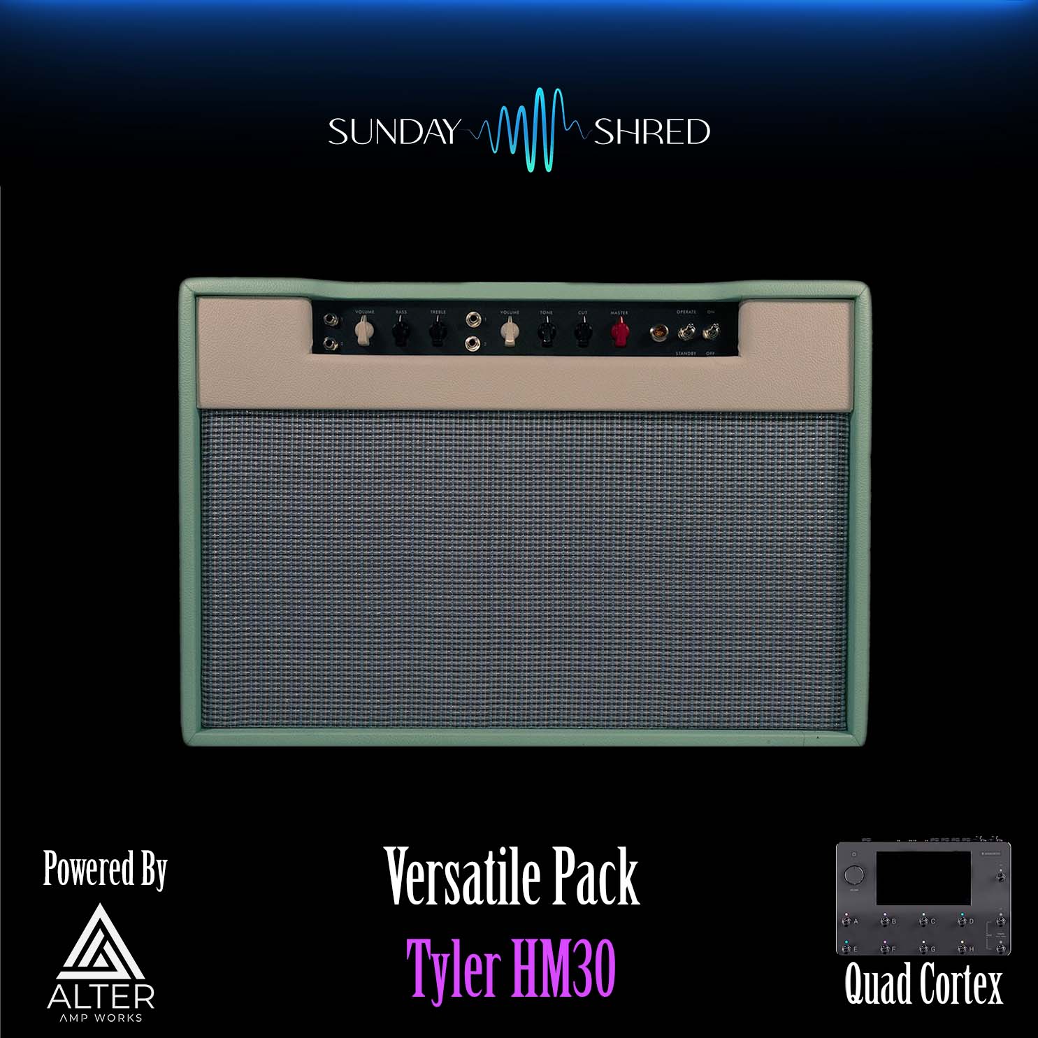 Purelystore - Tyler HM30 Preset Pack - Quad Cortex Preset