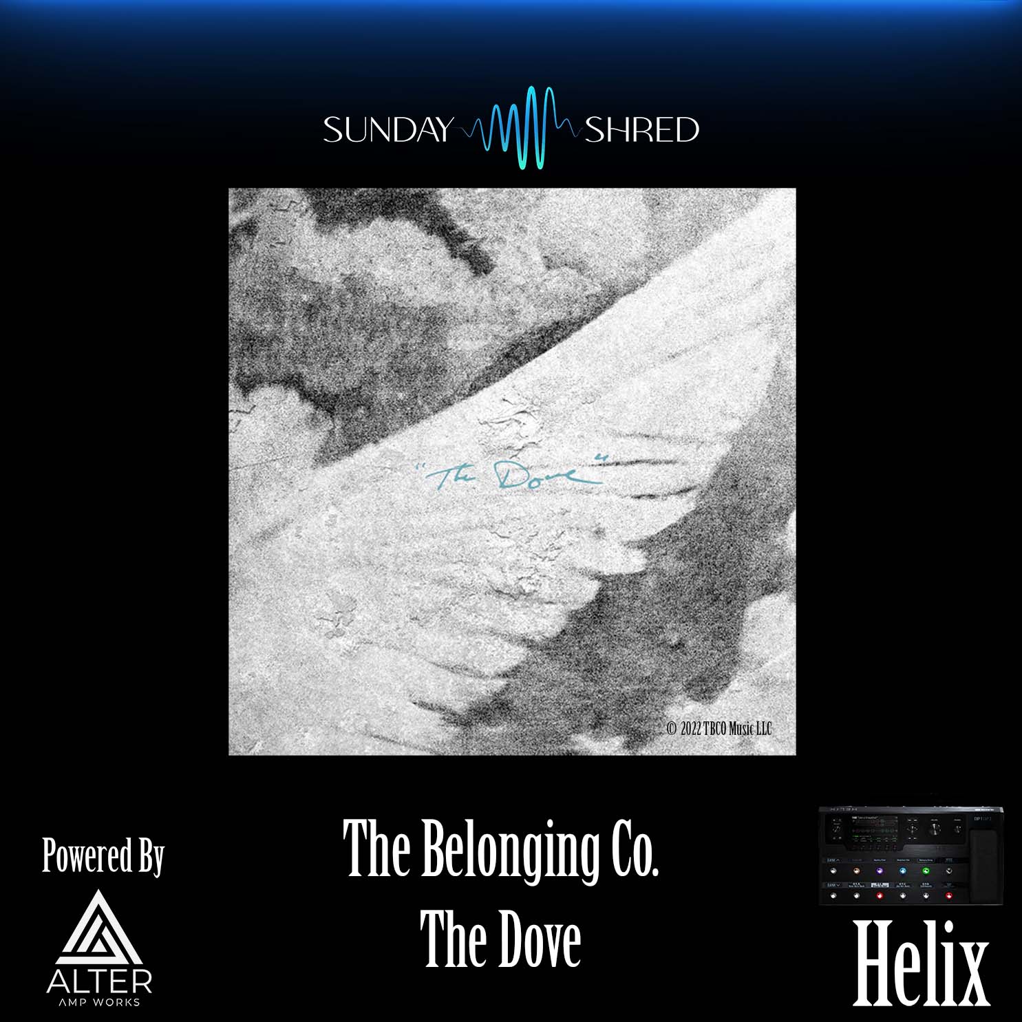 Purelystore - The Dove - The Belonging Co - Helix Patch
